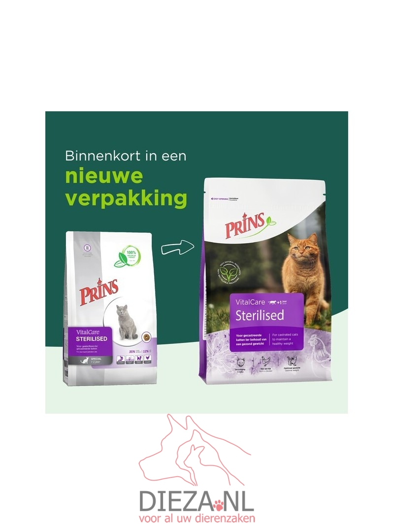 Prins cat sterilized