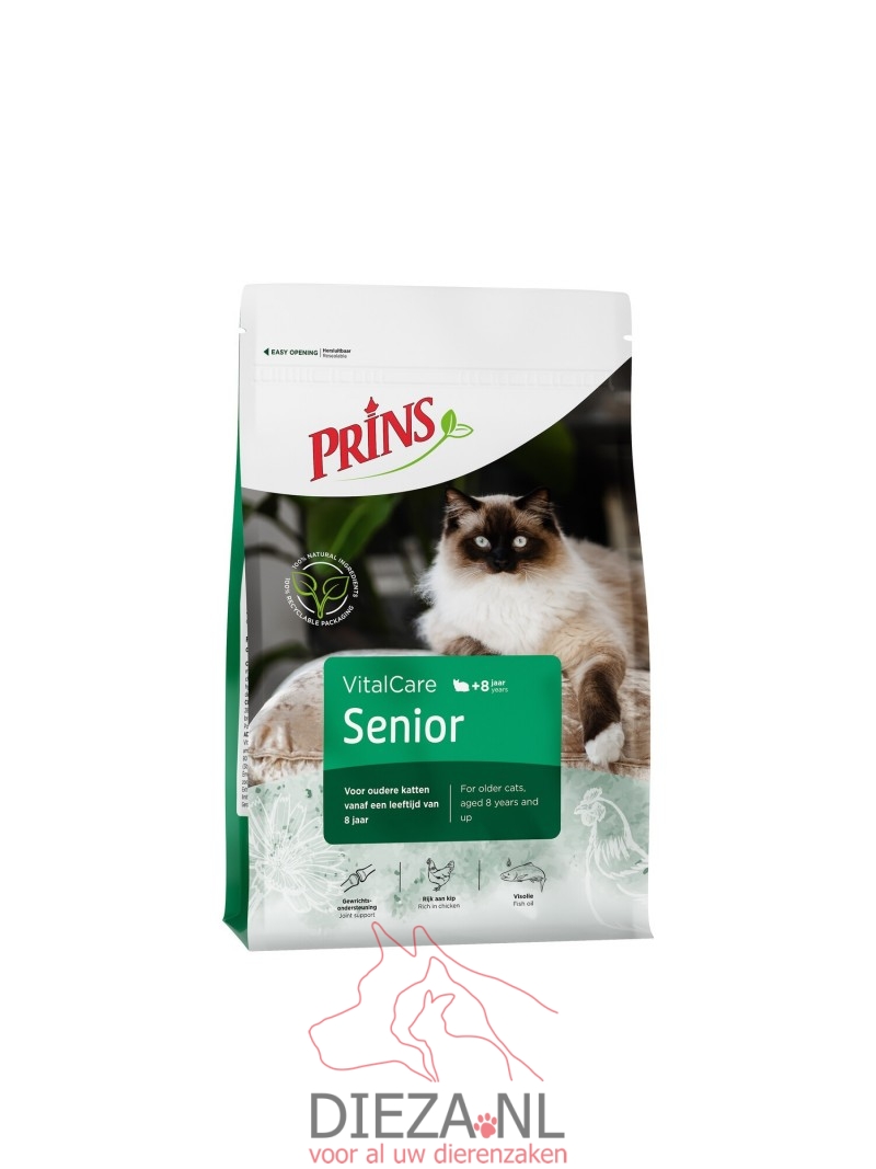 Prins cat senior
