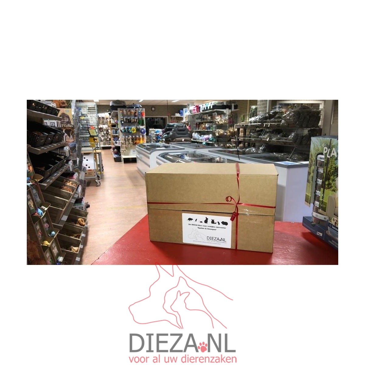 De dieza box nr.2 - cavia