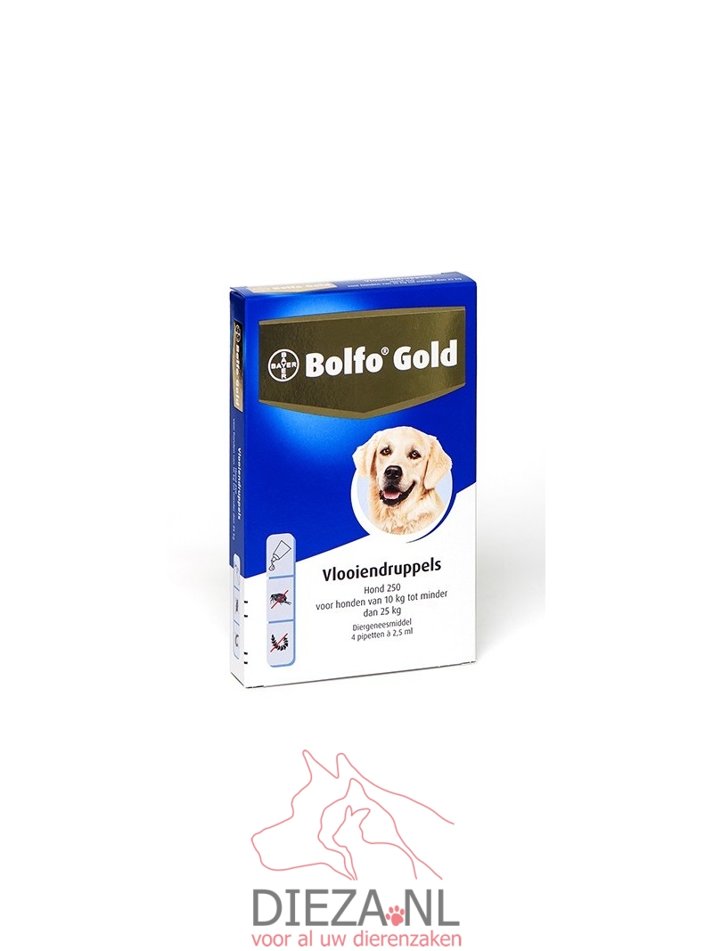 Bolfo gold hond 250 - vlooiendruppels