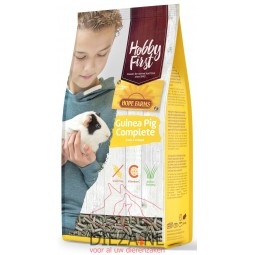 Hobbyfirst guinea pig complete