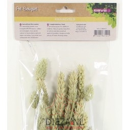 Esve pet bouquet knaagveld