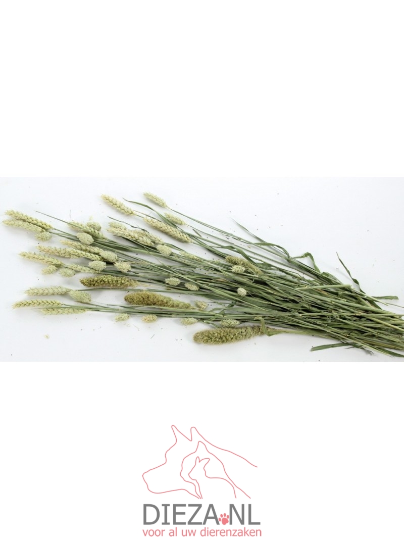 Esve pet bouquet knaagveld