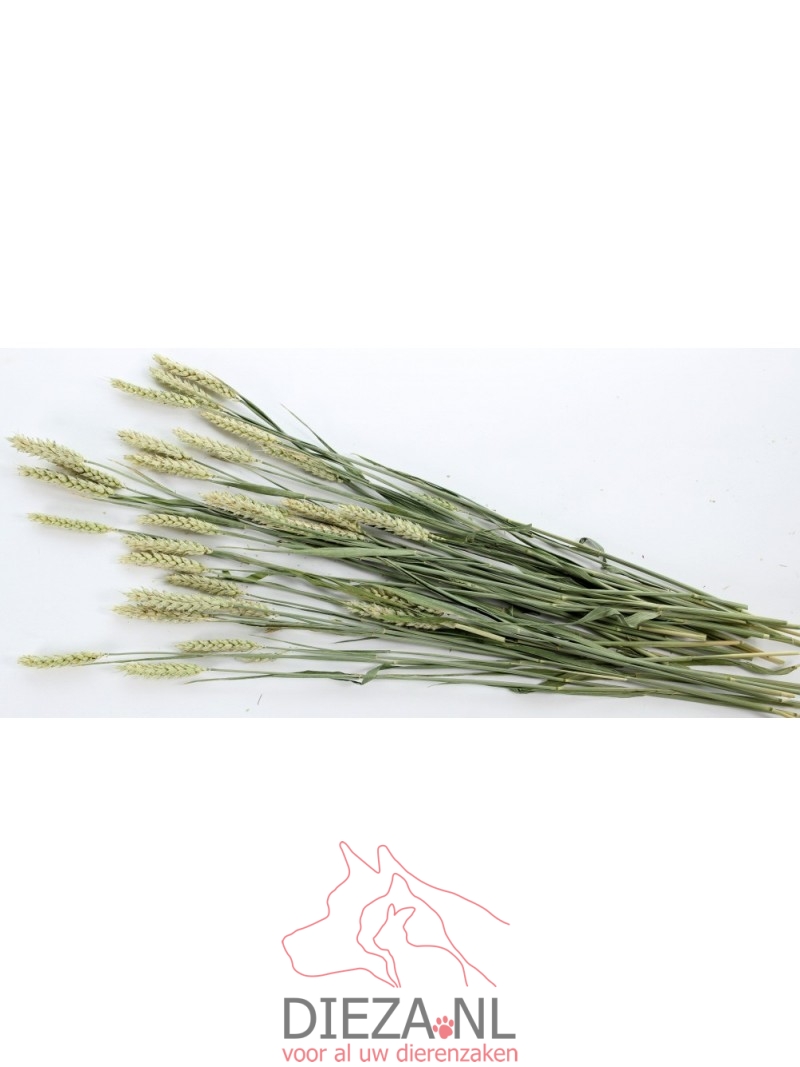 Esve pet bouquet tarweakker