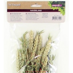 Esve pet bouquet haverland