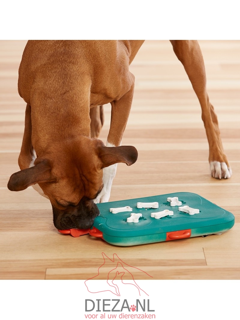 Sot-g nina ottosson dog casino