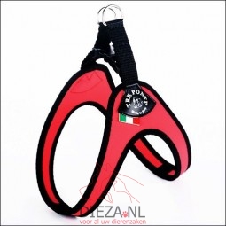 Tre ponti fibbia rood