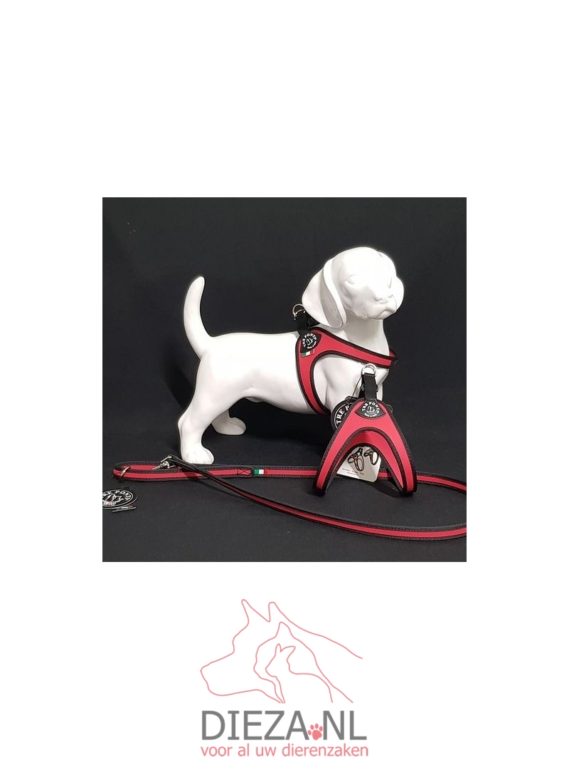 Tre ponti fibbia rood