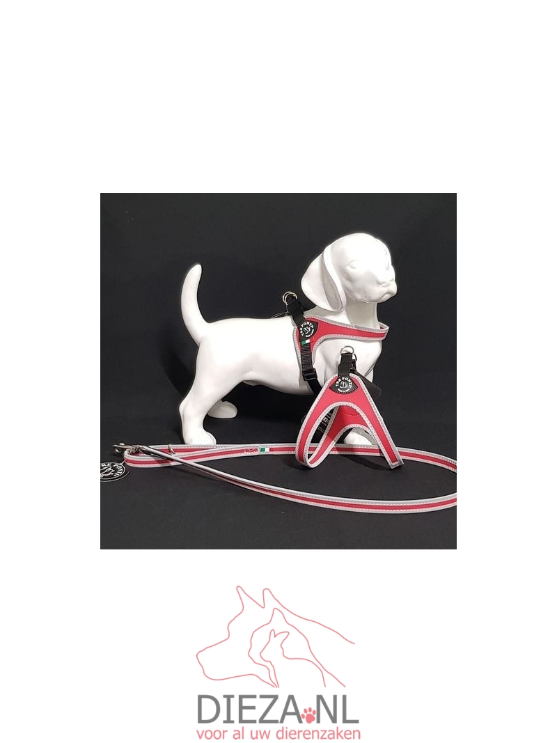 Tre ponti fibbia reflectie rood