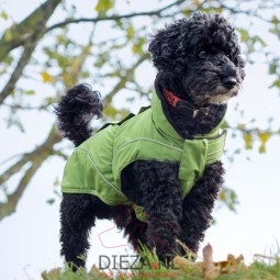 Dogbite wintercoat groen