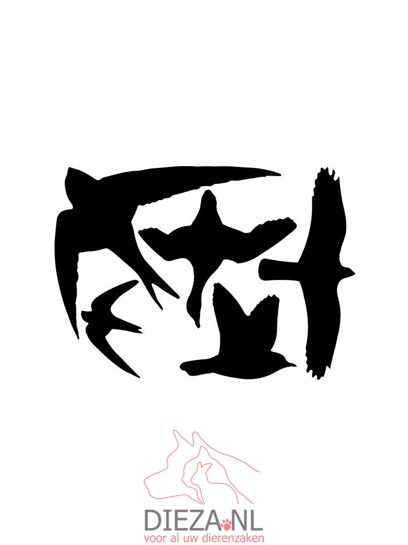 Best for birds raamstickers vogel