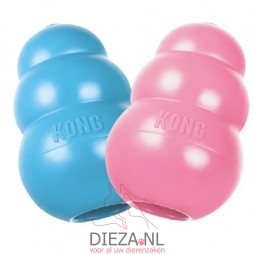 Kong puppy