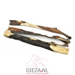 Carnis kophuid met haar...