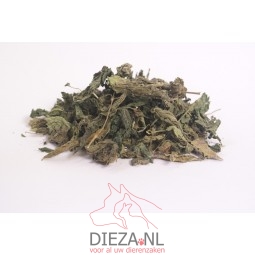 Dieza brandnetelblad