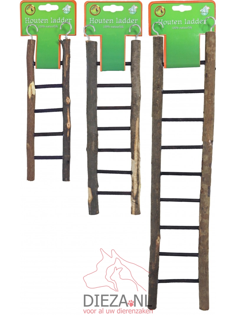Boon vogel ladder hout