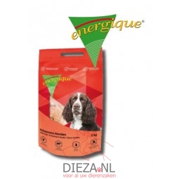 Energique volwassen hond