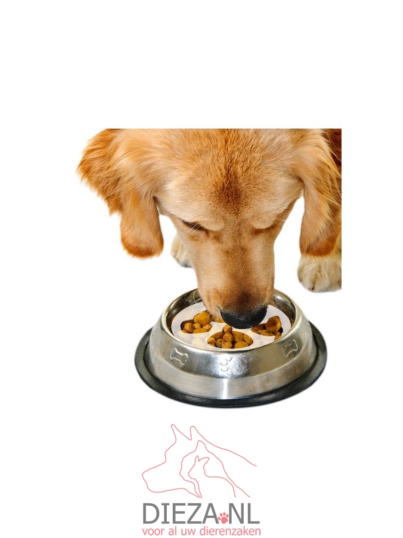 Snugglesafe slow feeding disc 18cm