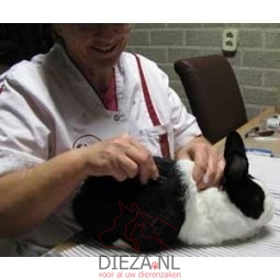 1x konijn enten (combi...