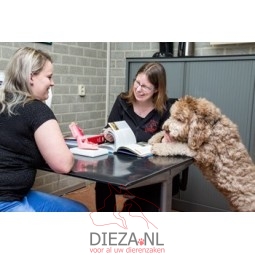 Hondenvoedingsadvies...