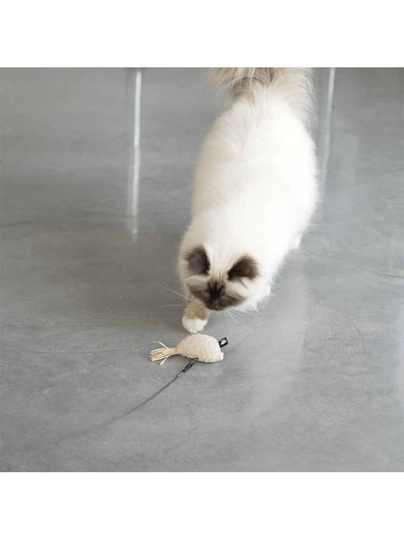 I love happy cats joy vogel speeltje wit