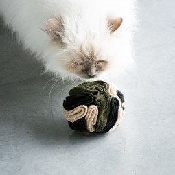 I love happy cats simon...