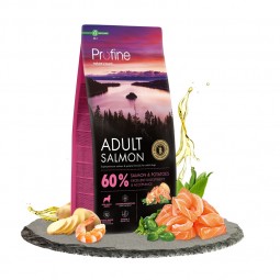 Profine dog dry adult zalm