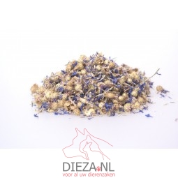 Dieza korenbloemen blauw