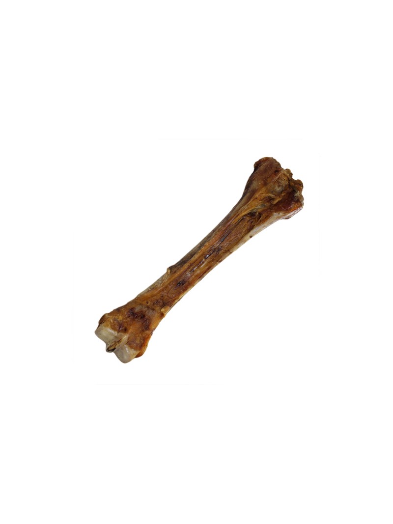 Dieza paardenbot 25cm