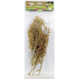 Esve mix&play corn grass