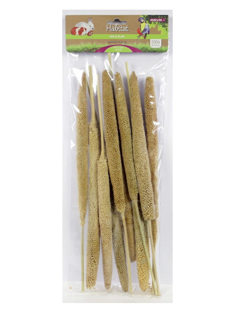 Esve mix&play babla plant 10stuks