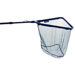 Albatros interline...