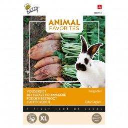 Buzzy animal favorites...