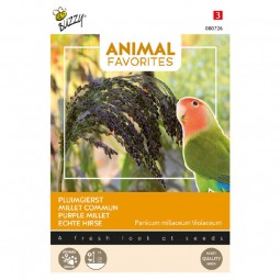 Buzzy animal favorites...