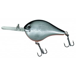 Albatros catch21 fat belly...