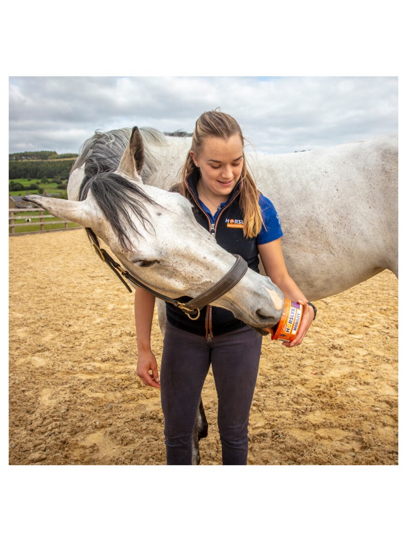 Horslyx mini mobility 650gram