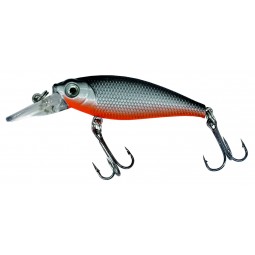 Albatros catch21 baby bass...