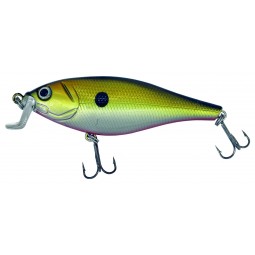 Albatros catch21 bastard...