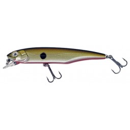 Albatros catch21 long luke...