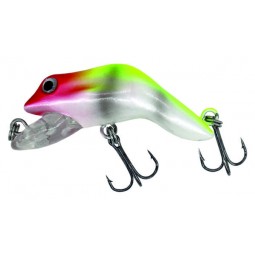 Albatros catch21 holy frog...