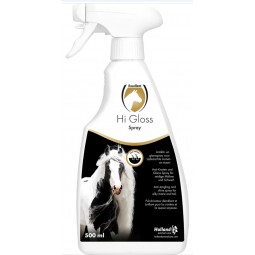 Excellent hi gloss spray 500ml