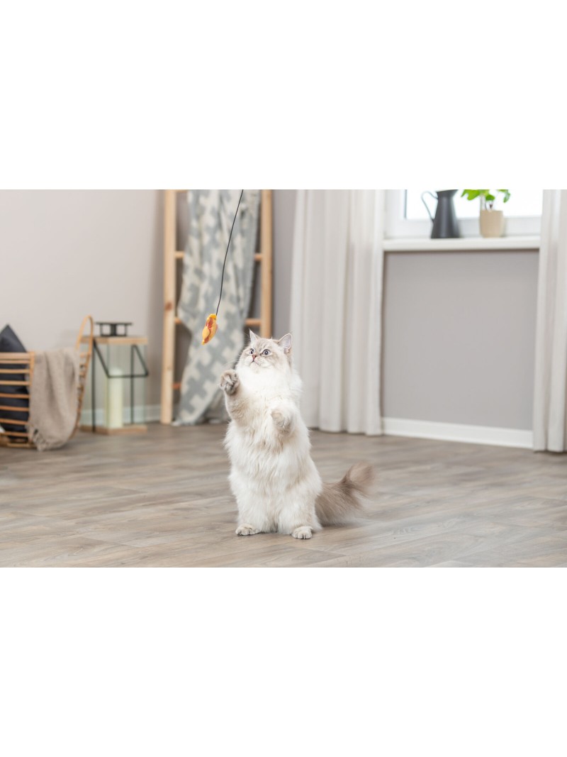Trixie speelhengel met vis 46cm