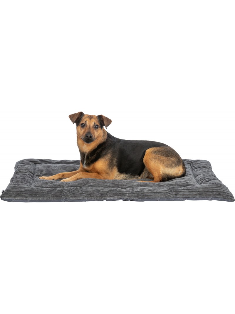 Trixie ligmat jonna ribfluweel grijs