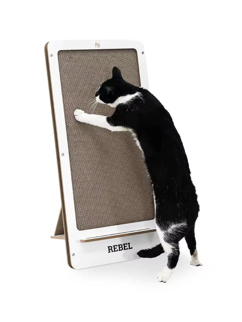 Petrebels coco 80 white