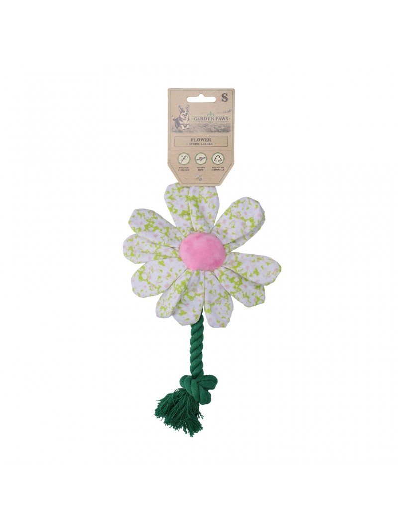 Garden paws flower spring sakura s