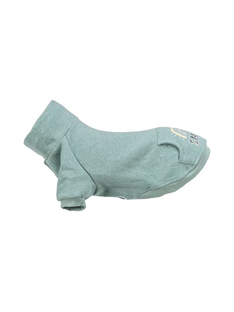 Trixie sweatshirt littleton mint