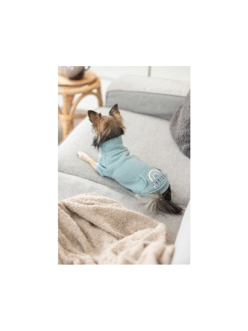 Trixie sweatshirt littleton mint