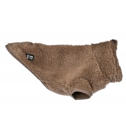 51 turtle teddy brown
