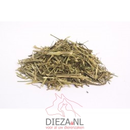 Dieza dille steeltjes