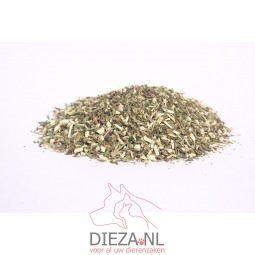 Dieza echinacea fijn