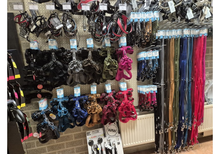 Nieuw binnen bij ons: Pet lando!